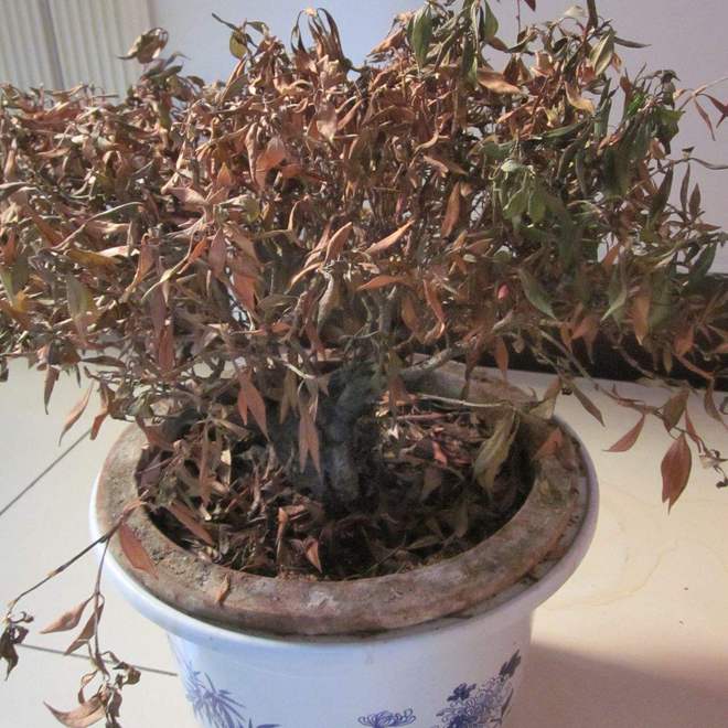 屋”家里有这5种物品一定要尽早处理掉！PG麻将胡了模拟器俗话说：“财不入脏(图6)